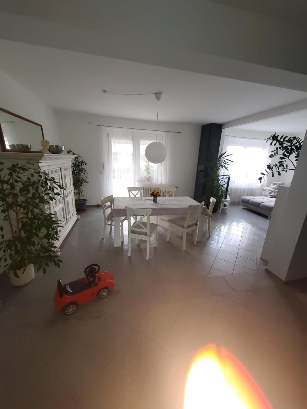 Grosse 3 Zi Wohnung Auf Der Pferde Farm 拉尔 外观 照片
